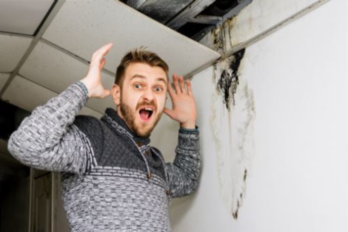 Bearded man in shock from the black mold on the wall and ceiling. - Image